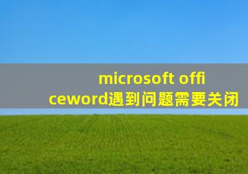 microsoft officeword遇到问题需要关闭